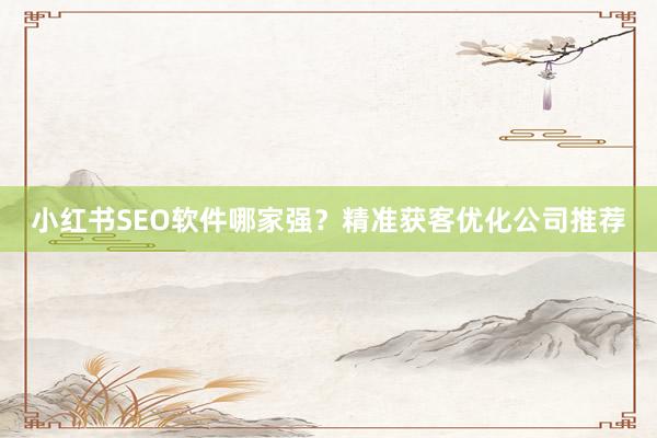 小红书SEO软件哪家强？精准获客优化公司推荐