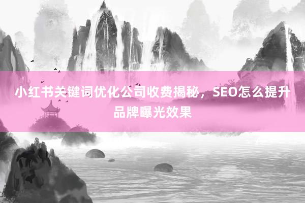 小红书关键词优化公司收费揭秘，SEO怎么提升品牌曝光效果