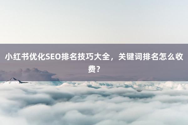 小红书优化SEO排名技巧大全，关键词排名怎么收费？