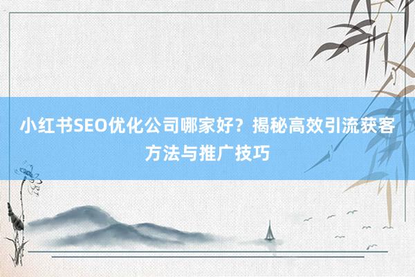 小红书SEO优化公司哪家好？揭秘高效引流获客方法与推广技巧