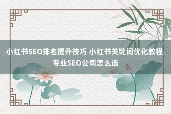小红书SEO排名提升技巧 小红书关键词优化教程 专业SEO公司怎么选
