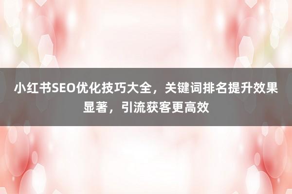 小红书SEO优化技巧大全，关键词排名提升效果显著，引流获客更高效