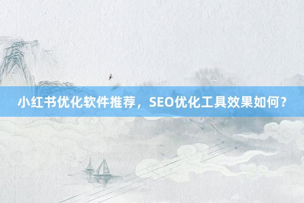 小红书优化软件推荐，SEO优化工具效果如何？