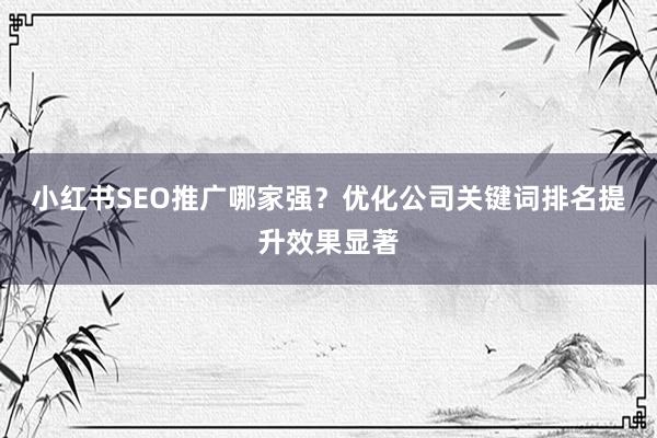 小红书SEO推广哪家强？优化公司关键词排名提升效果显著