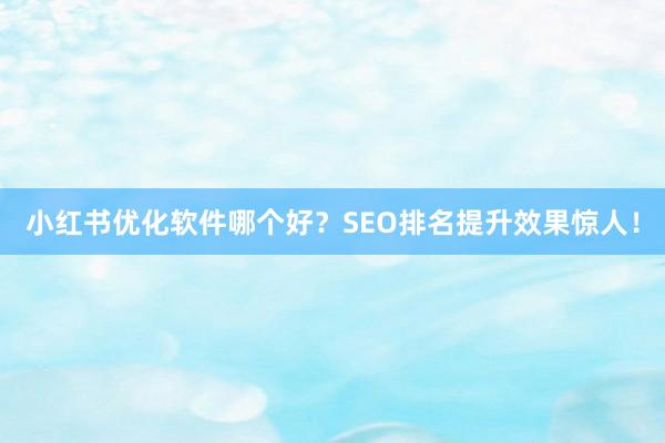 小红书优化软件哪个好？SEO排名提升效果惊人！