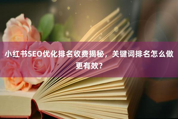 小红书SEO优化排名收费揭秘，关键词排名怎么做更有效？