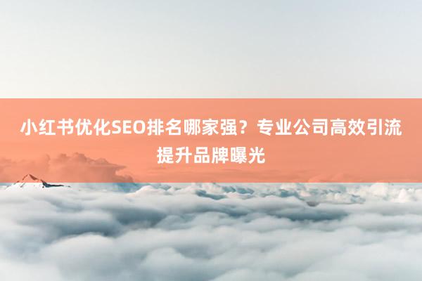 小红书优化SEO排名哪家强？专业公司高效引流提升品牌曝光