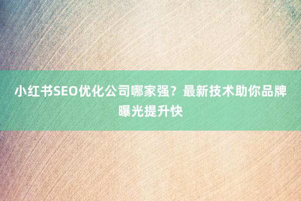 小红书SEO优化公司哪家强？最新技术助你品牌曝光提升快