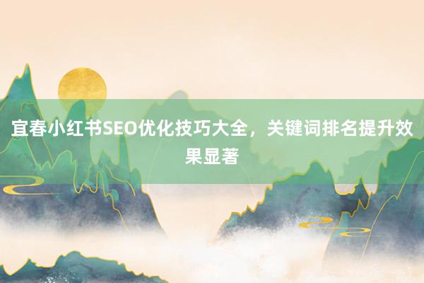 宜春小红书SEO优化技巧大全，关键词排名提升效果显著