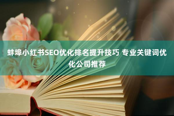 蚌埠小红书SEO优化排名提升技巧 专业关键词优化公司推荐