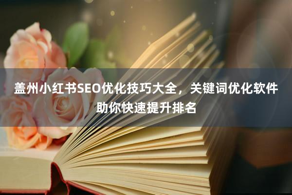 盖州小红书SEO优化技巧大全，关键词优化软件助你快速提升排名