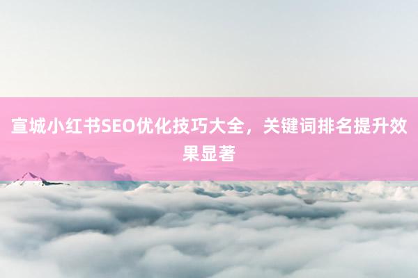 宣城小红书SEO优化技巧大全，关键词排名提升效果显著