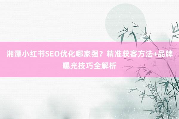 湘潭小红书SEO优化哪家强？精准获客方法+品牌曝光技巧全解析