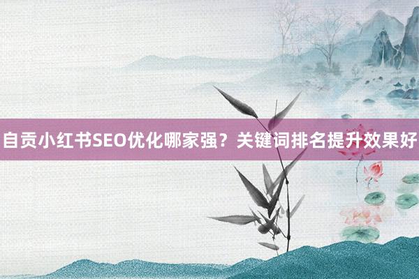 自贡小红书SEO优化哪家强？关键词排名提升效果好