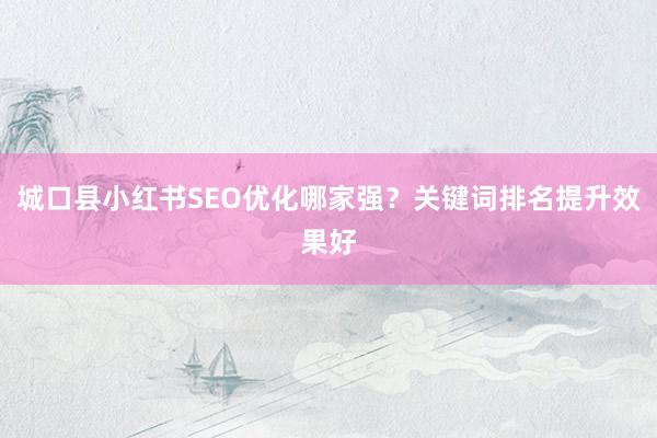 城口县小红书SEO优化哪家强？关键词排名提升效果好