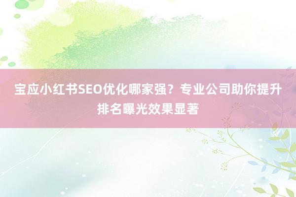 宝应小红书SEO优化哪家强？专业公司助你提升排名曝光效果显著