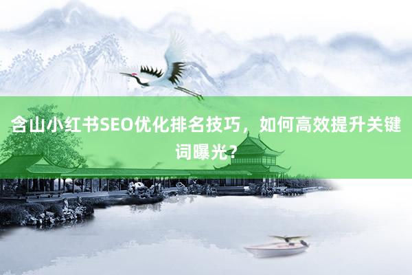 含山小红书SEO优化排名技巧，如何高效提升关键词曝光？