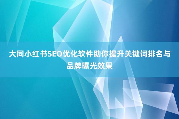 大同小红书SEO优化软件助你提升关键词排名与品牌曝光效果