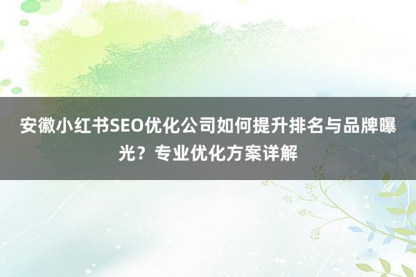 安徽小红书SEO优化公司如何提升排名与品牌曝光？专业优化方案详解
