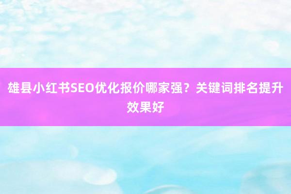 雄县小红书SEO优化报价哪家强？关键词排名提升效果好