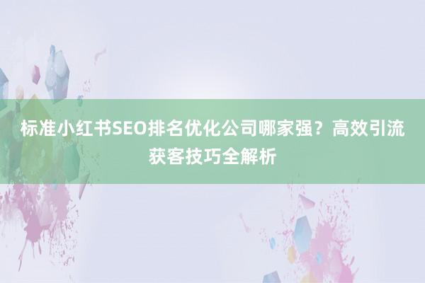 标准小红书SEO排名优化公司哪家强？高效引流获客技巧全解析