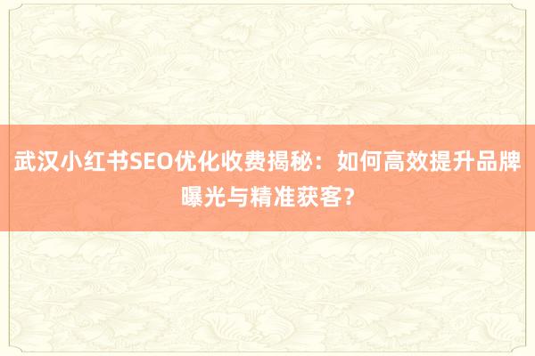 武汉小红书SEO优化收费揭秘：如何高效提升品牌曝光与精准获客？