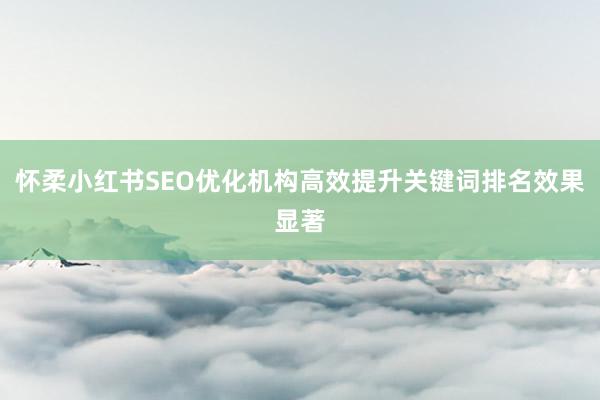 怀柔小红书SEO优化机构高效提升关键词排名效果显著