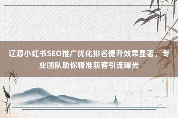 辽源小红书SEO推广优化排名提升效果显著，专业团队助你精准获客引流曝光