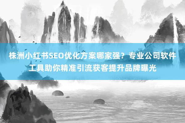 株洲小红书SEO优化方案哪家强？专业公司软件工具助你精准引流获客提升品牌曝光