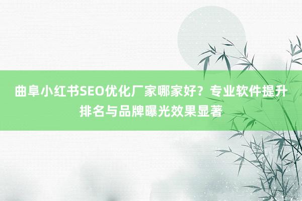 曲阜小红书SEO优化厂家哪家好？专业软件提升排名与品牌曝光效果显著