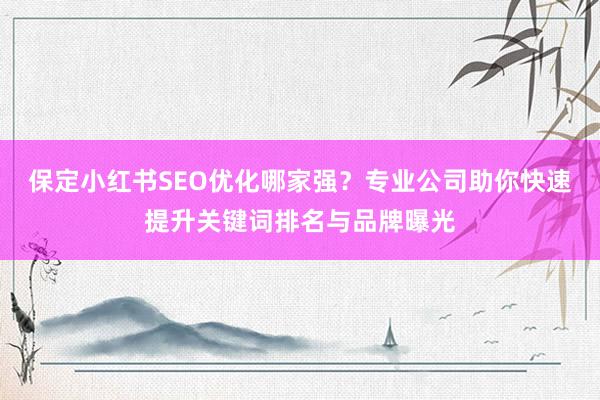 保定小红书SEO优化哪家强？专业公司助你快速提升关键词排名与品牌曝光