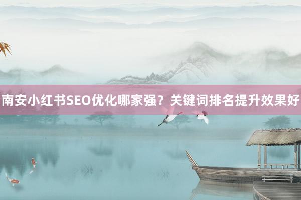 南安小红书SEO优化哪家强？关键词排名提升效果好