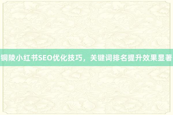 铜陵小红书SEO优化技巧，关键词排名提升效果显著