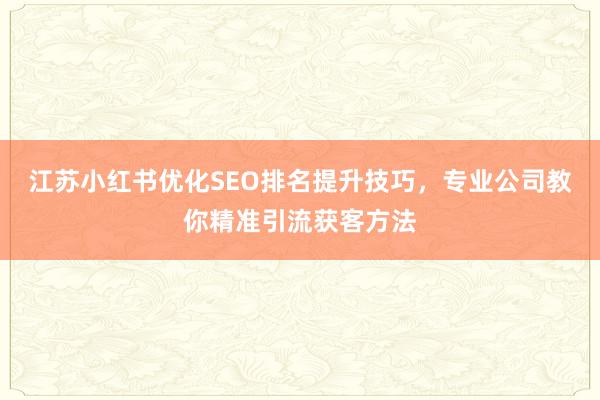 江苏小红书优化SEO排名提升技巧，专业公司教你精准引流获客方法