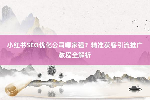 小红书SEO优化公司哪家强？精准获客引流推广教程全解析