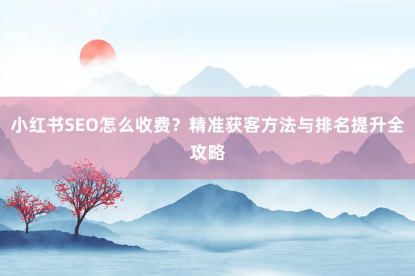 小红书SEO怎么收费？精准获客方法与排名提升全攻略