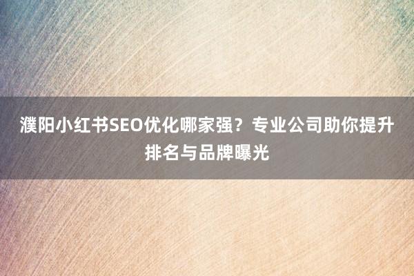 濮阳小红书SEO优化哪家强？专业公司助你提升排名与品牌曝光