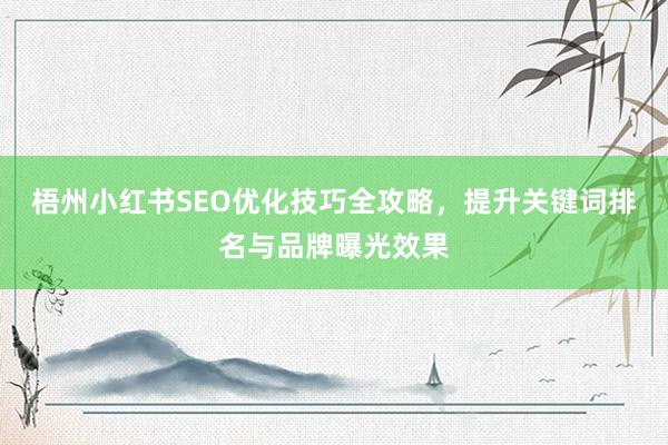 梧州小红书SEO优化技巧全攻略，提升关键词排名与品牌曝光效果