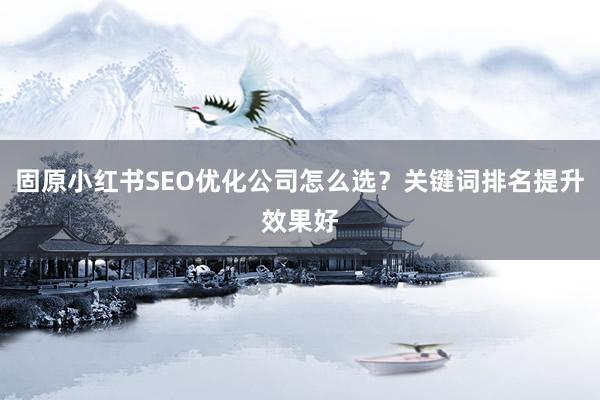 固原小红书SEO优化公司怎么选？关键词排名提升效果好