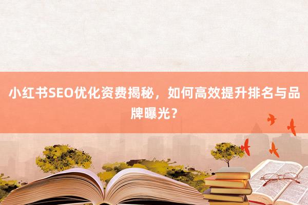 小红书SEO优化资费揭秘，如何高效提升排名与品牌曝光？