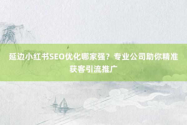 延边小红书SEO优化哪家强？专业公司助你精准获客引流推广