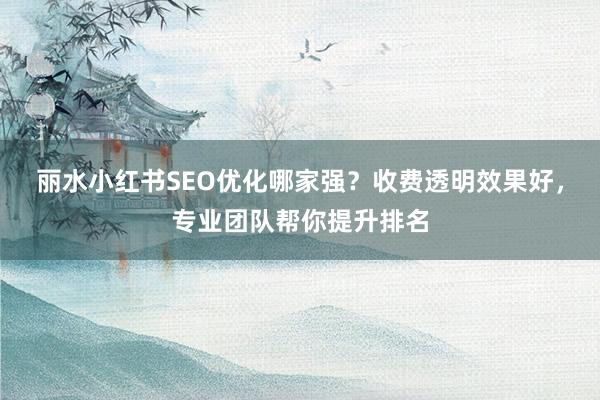 丽水小红书SEO优化哪家强？收费透明效果好，专业团队帮你提升排名