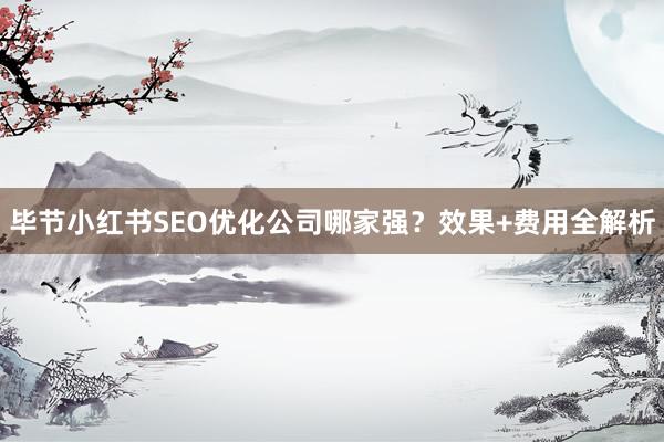 毕节小红书SEO优化公司哪家强？效果+费用全解析