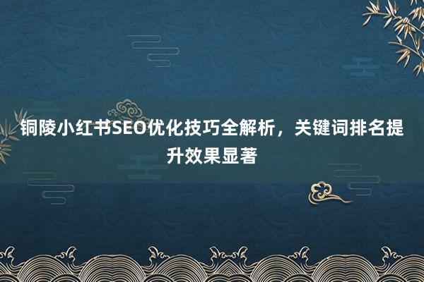 铜陵小红书SEO优化技巧全解析，关键词排名提升效果显著