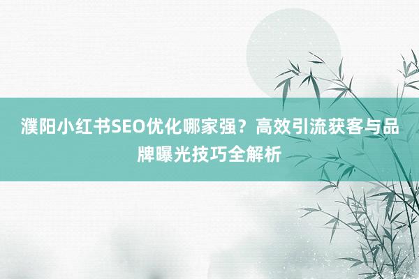 濮阳小红书SEO优化哪家强？高效引流获客与品牌曝光技巧全解析