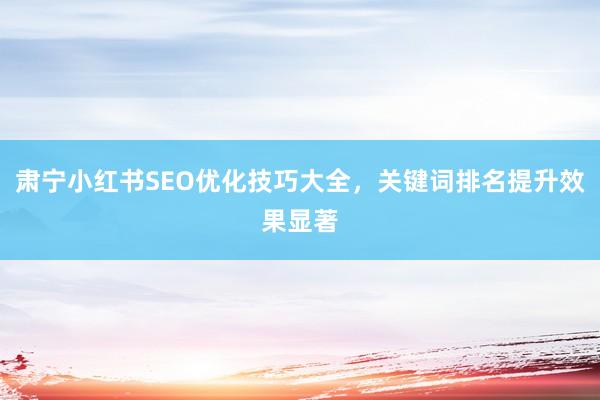 肃宁小红书SEO优化技巧大全，关键词排名提升效果显著