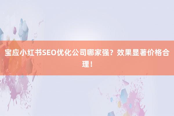 宝应小红书SEO优化公司哪家强？效果显著价格合理！