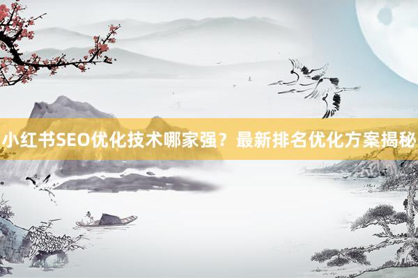 小红书SEO优化技术哪家强？最新排名优化方案揭秘
