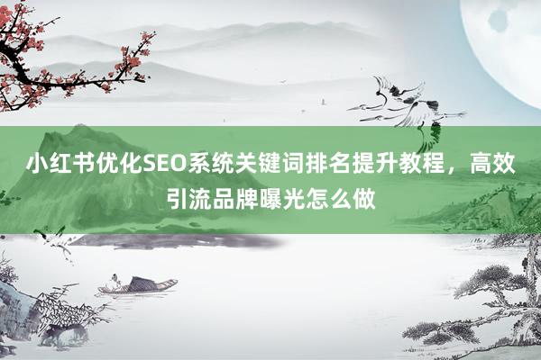 小红书优化SEO系统关键词排名提升教程，高效引流品牌曝光怎么做