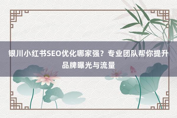 银川小红书SEO优化哪家强？专业团队帮你提升品牌曝光与流量